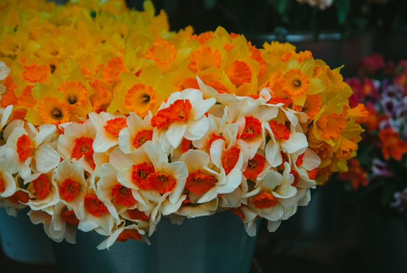 La Magie de la Voile et des Couronnes de Fleurs pour Vos Événements Spéciaux